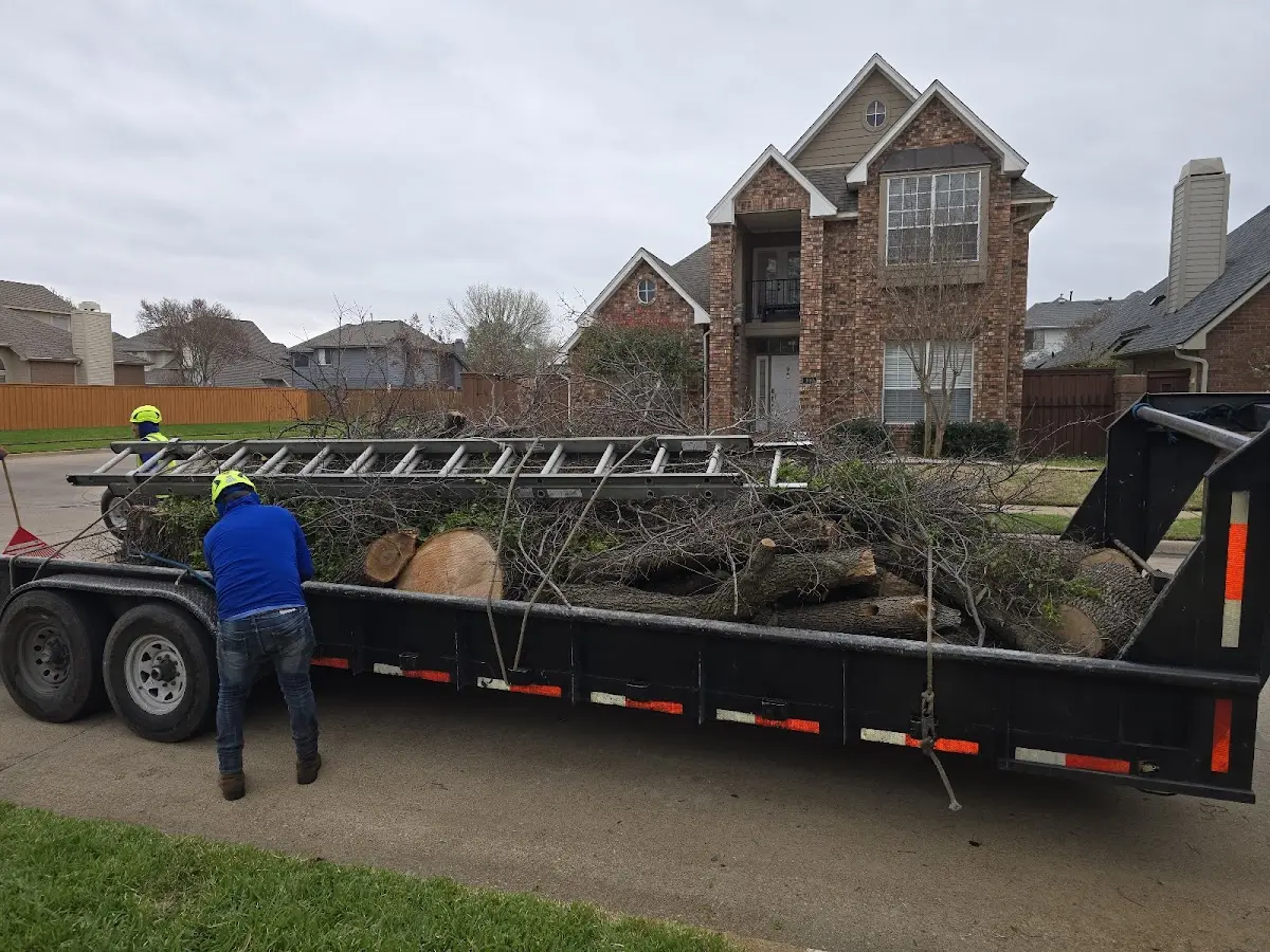 Expert Tree Fertilization with proper safety equipment in Bayonne